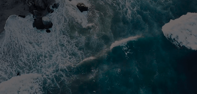 Calm Shoreline